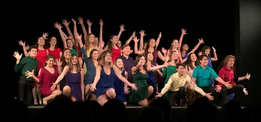 Sea Kings exhibited their dancing, singing, and acting ability at the 2018 PVHS Musical Showcase