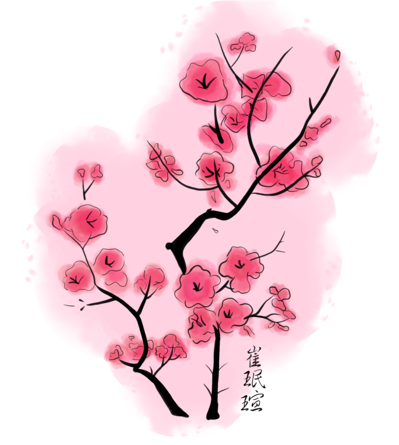 blossom+tree