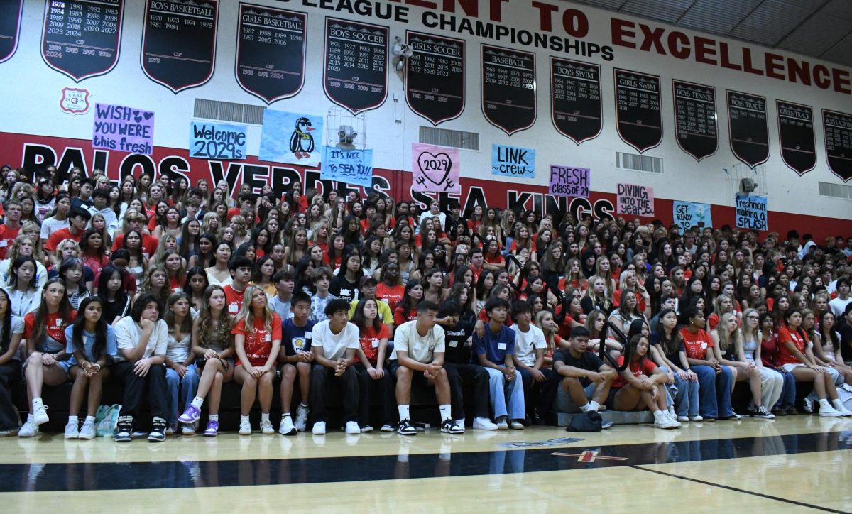 Freshmen Frenzy: