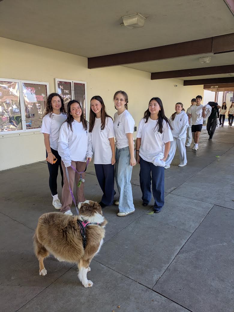 Walking for Charity:  NHS’ Painted Turtle Walk